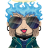 alexander_ff