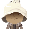 taylortapi