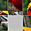 Picture Shifter