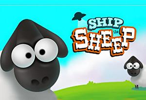 Ship the sheep