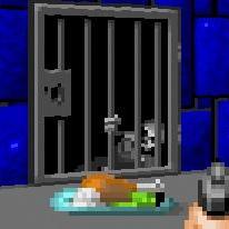 Wolfenstein 3D – Multiplayer Brasil