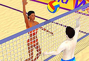 Summer Sports: Volleyball