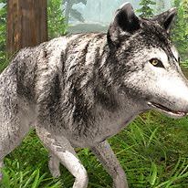 free online wolf games