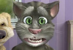 Jogar Talking Tom Cat 4 - Jogue Talking Tom Cat 4 no UgameZone.com.