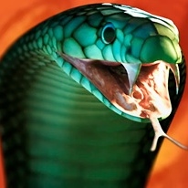 Killer Snake