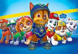 Cómo dibujar a Zuma de Paw Patrol - Guías de dibujo fáciles paso a paso -  Cómo dibujar