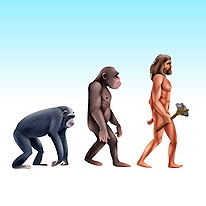 Human Evolution Rush