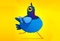 Pigeon Pop
