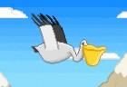 Pelican Lost