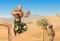 Desert Ambush