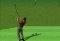 Supreme Golf