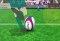 Kicking Kings