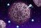 Space Hopper