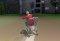 Trolley Racer